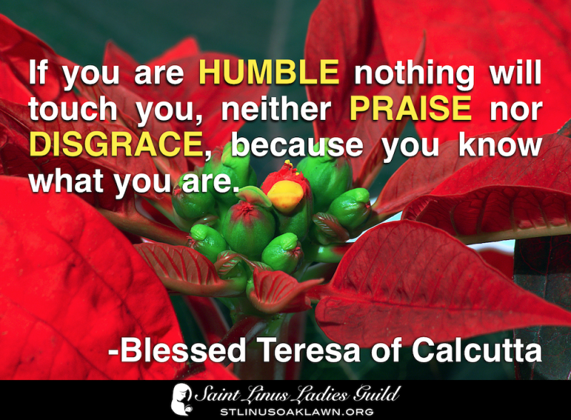 If you are humble, nothing will touch you, neither praise nor disgrace, because you know what you are