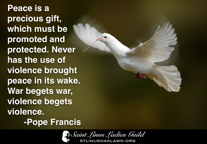 Peace is a precious gift which must be protected. never has the use of violence brought peace in its wake
