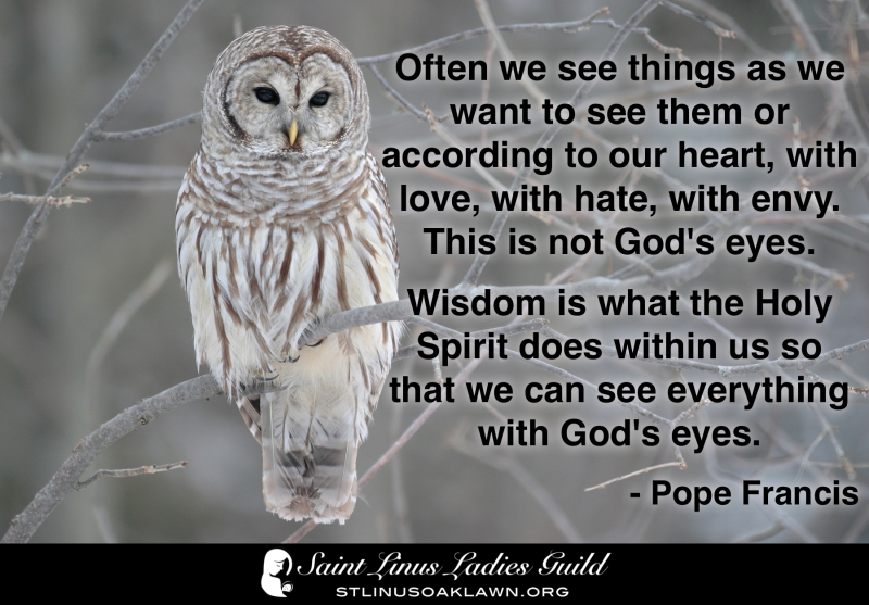 Often we see things as we want to see them or according to our heart, with love, hate, with envy. This is not God's eyes. Wisdom is what the Holy Spirit does within us so that we can see everything with God's eyes. - Pope Francis