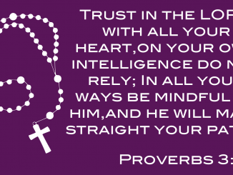 trust-in-the-lord